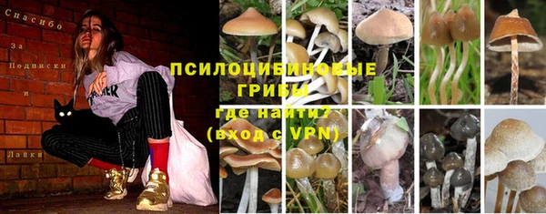 спайс Кулебаки