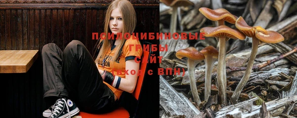 хмурый Калининец