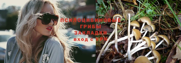 гидра Куйбышев