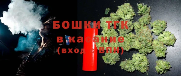 гидра Фёдоровский