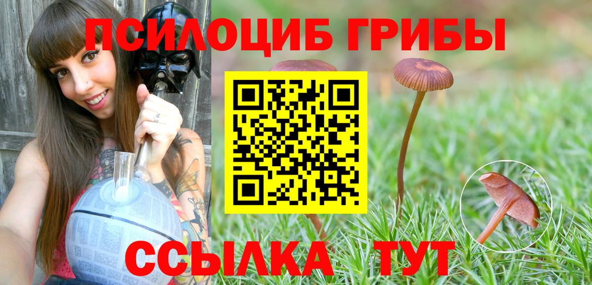 Псилоцибиновые грибы GOLDEN TEACHER Мелеуз