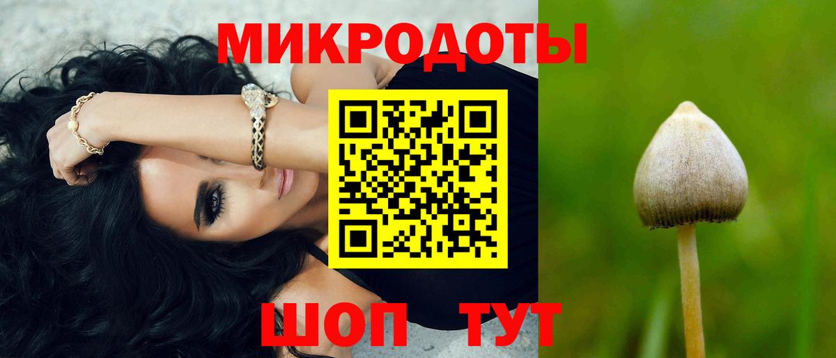 Псилоцибиновые грибы Psilocybine cubensis  Вход с VPN  Мелеуз 